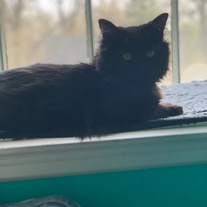 Meet your Posher, Claire